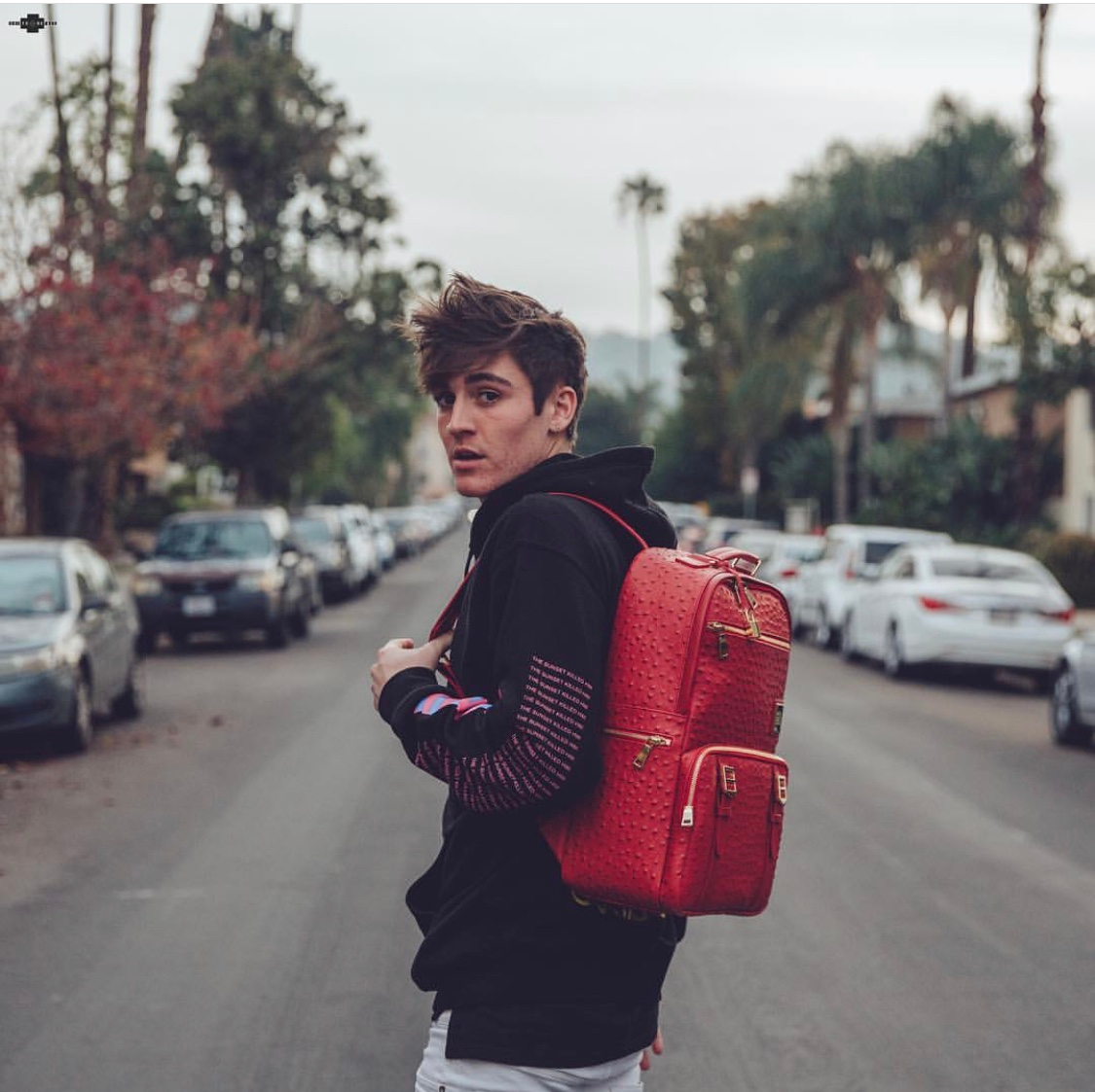 Bags