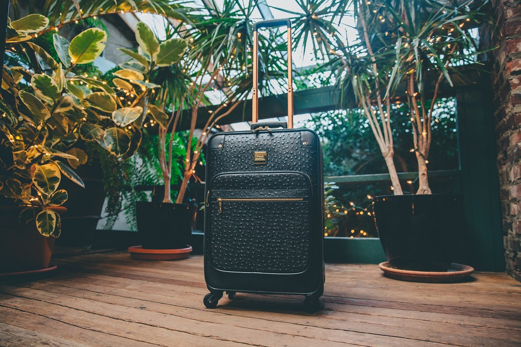 The Crown Collection Black Roller Luggage