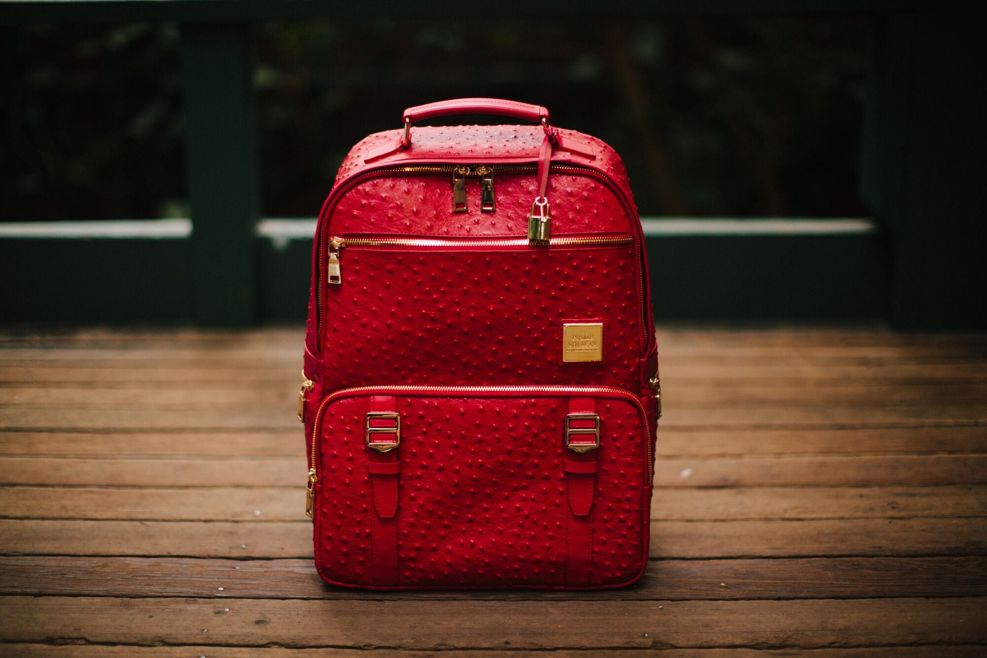 The Crown Collection (Medium) Red Backpack