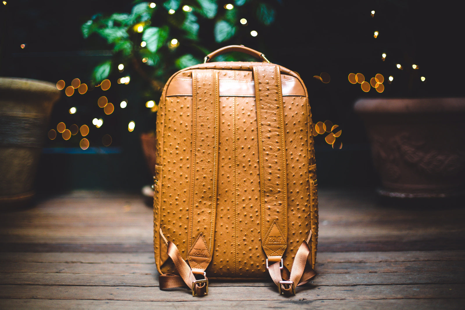 Crown Truffle Backpack