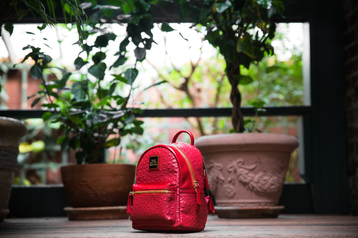 backpack mini red