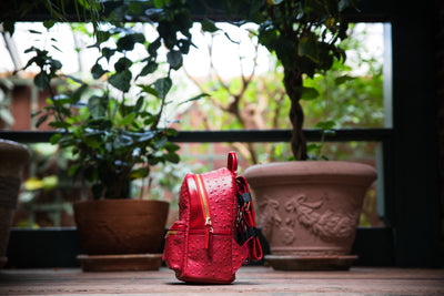 The Crown Collection (Mini) Red Backpack