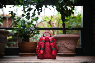 The Crown Collection (Mini) Red Backpack - Prime Society