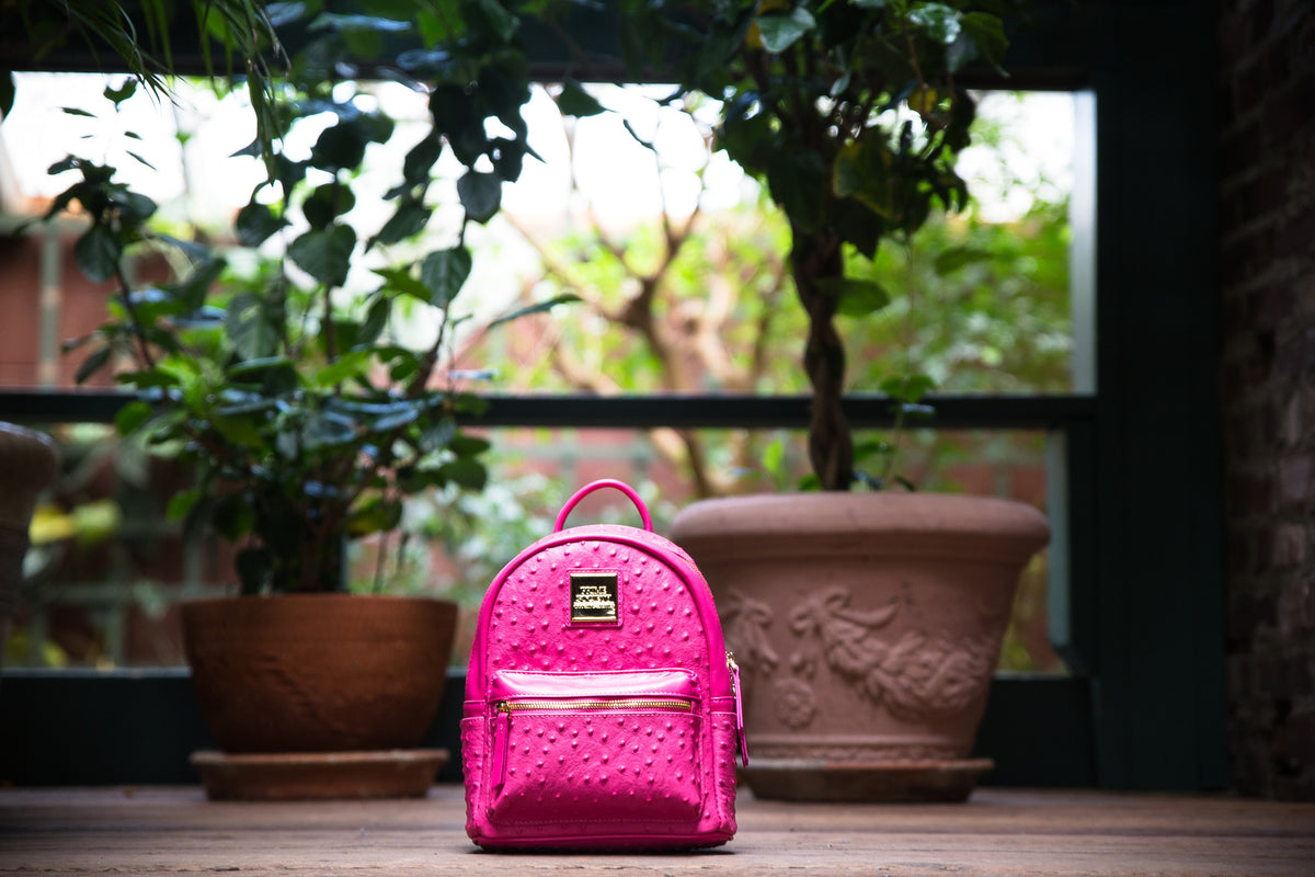 The Crown Collection (Mini) Pink Backpack