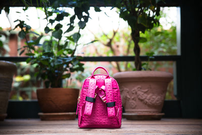 The Crown Collection (Mini) Pink Backpack
