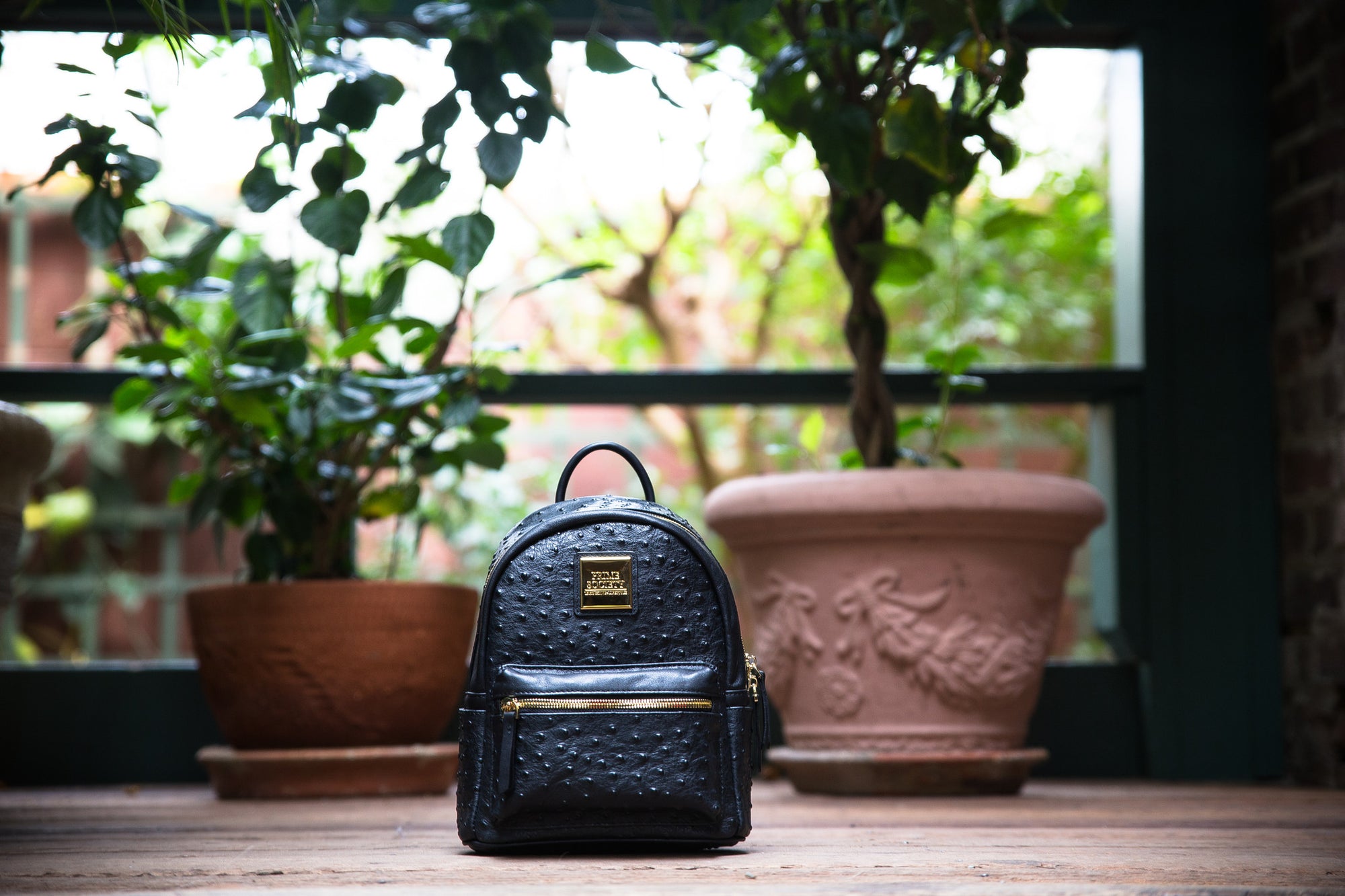 The Crown Collection (Mini) Black Backpack